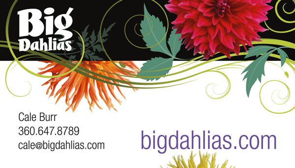 Big Dahlias Business Card Design