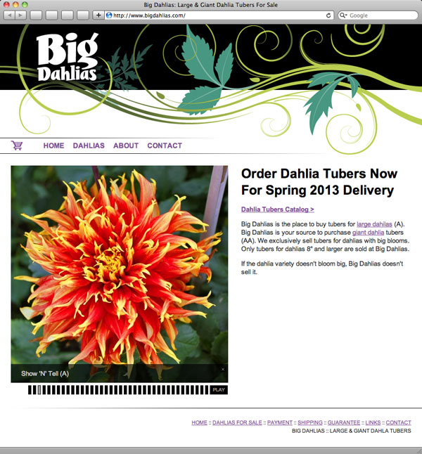 Big Dahlias Website Design