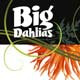 Big Dahlias Graphic Identity