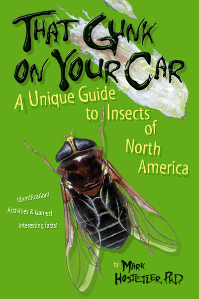 That Gunk On Your Car: A Unique Guide to Insects of North America Book Cover