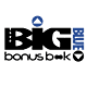 Big Blue Bonus Book: Logo Design