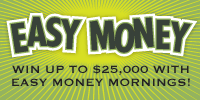 Easy Money Website Banner Design